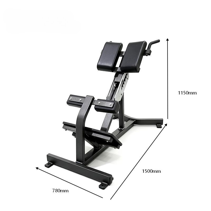 Home Gym In A Box - Bickfit Roman Chair Back Extension Hyperextension