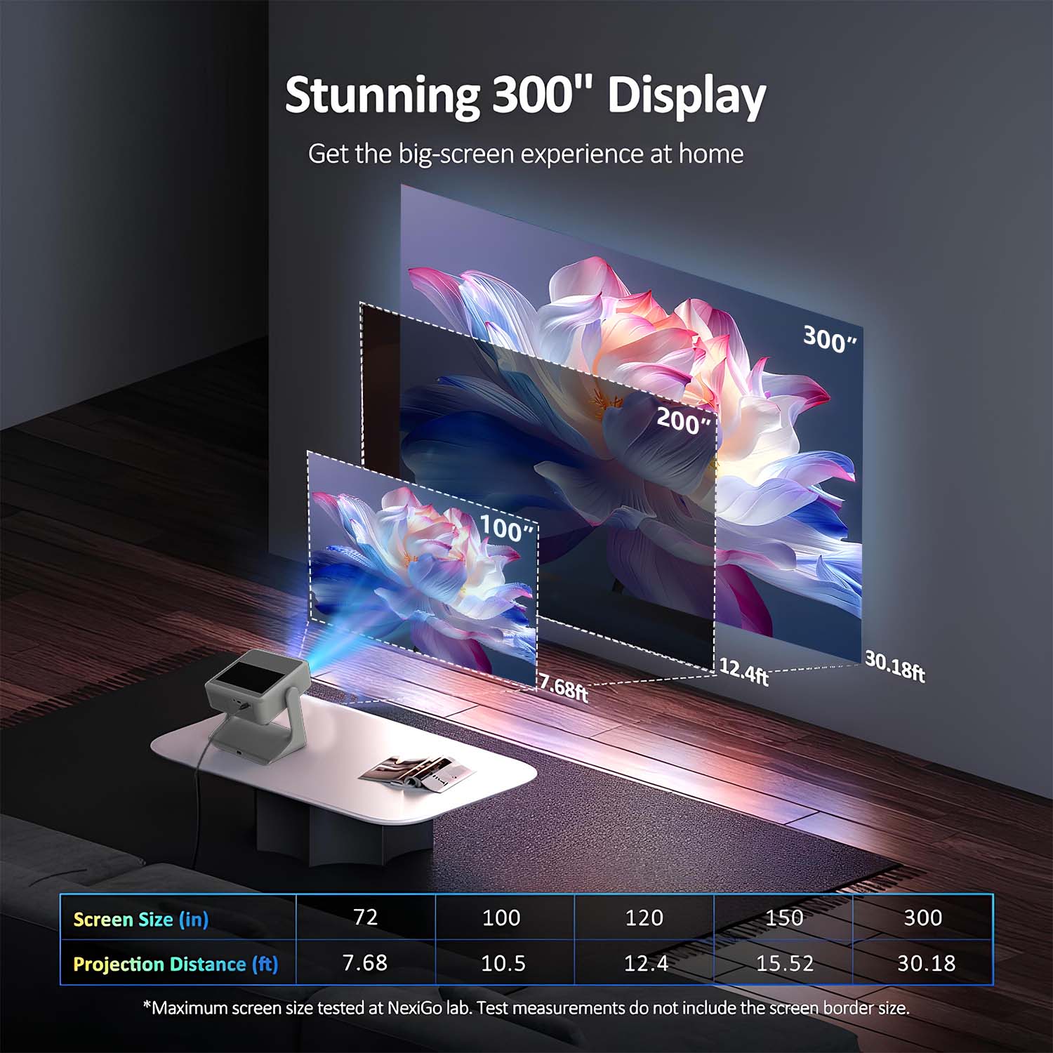 Portable Sports Projector Auto - огляд і ціна Home Gym Video